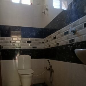 IMG20250128114106